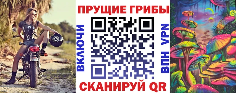 где купить   Сухой Лог  Псилоцибиновые грибы Magic Shrooms 